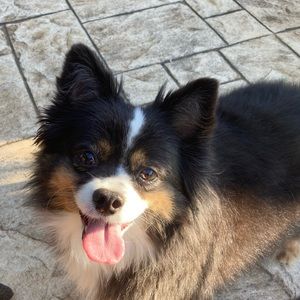 Meet your Posher, Erin